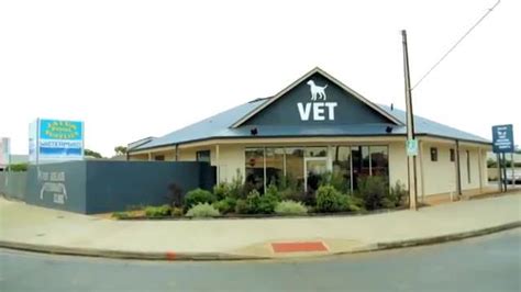 vets port adelaide